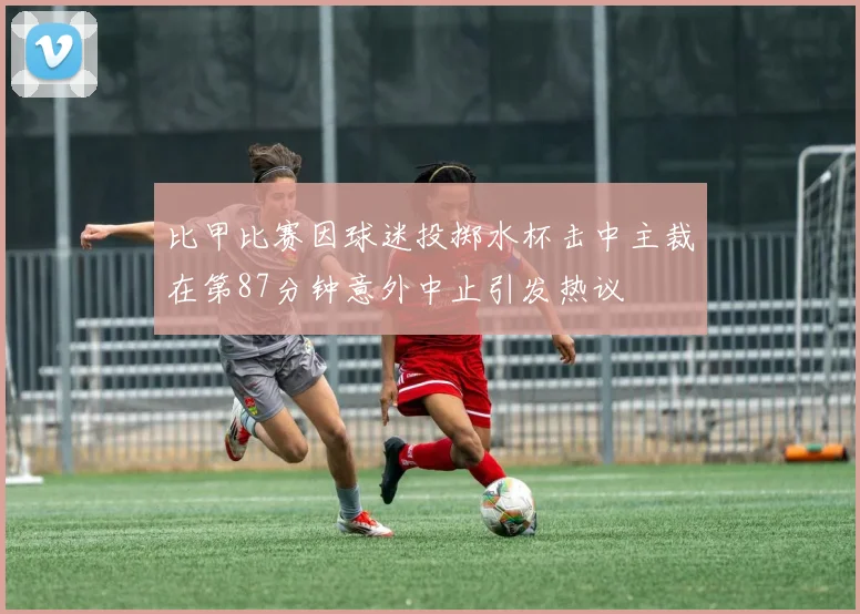 比甲比赛因球迷投掷水杯击中主裁在第87分钟意外中止引发热议