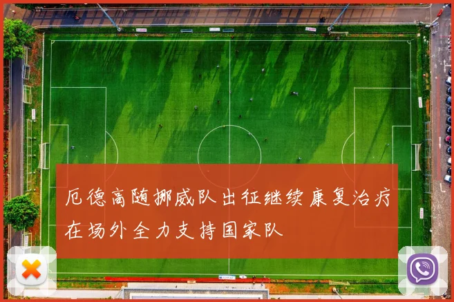 厄德高随挪威队出征继续康复治疗在场外全力支持国家队