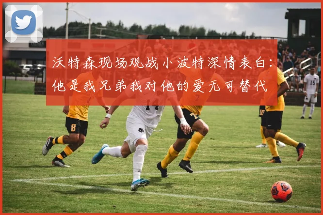 沃特森现场观战小波特深情表白：他是我兄弟我对他的爱无可替代