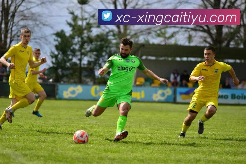 杏彩体育APP 封面图